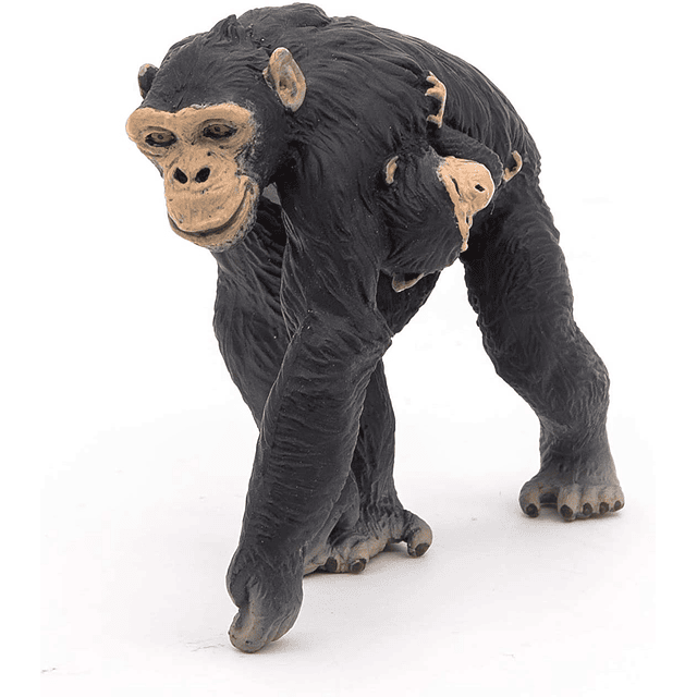 Animal Colección  Chimpance Con Cria