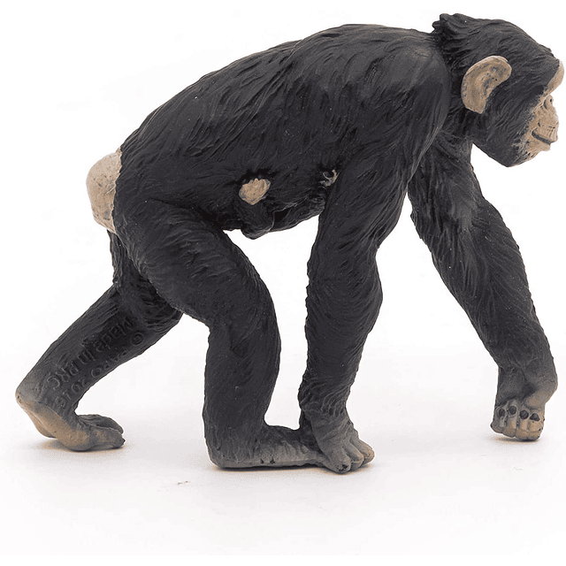 Animal Colección  Chimpance Con Cria
