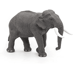 Animal Colección  Elefante De Asia
