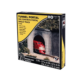 Tren Eléctrico Portal de Tunel Ho h0 1/87
