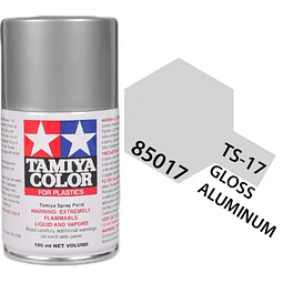  Ts17 Gloss Aluminum Spray100Ml