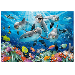 Rompecabezas Dolphins In The Coral Reef 500Pcs