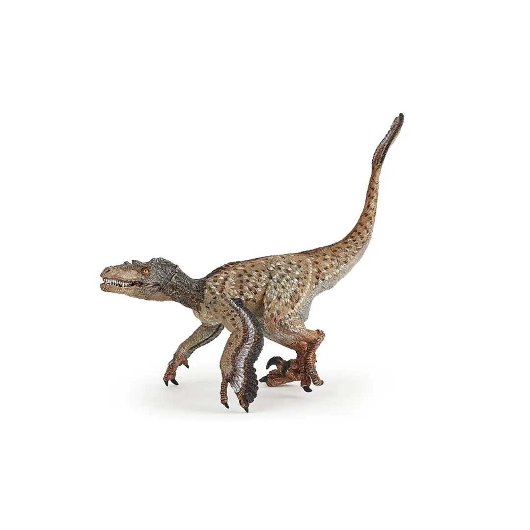 Animal Colección  Dinosaurio Velociraptor Con Plumas 1