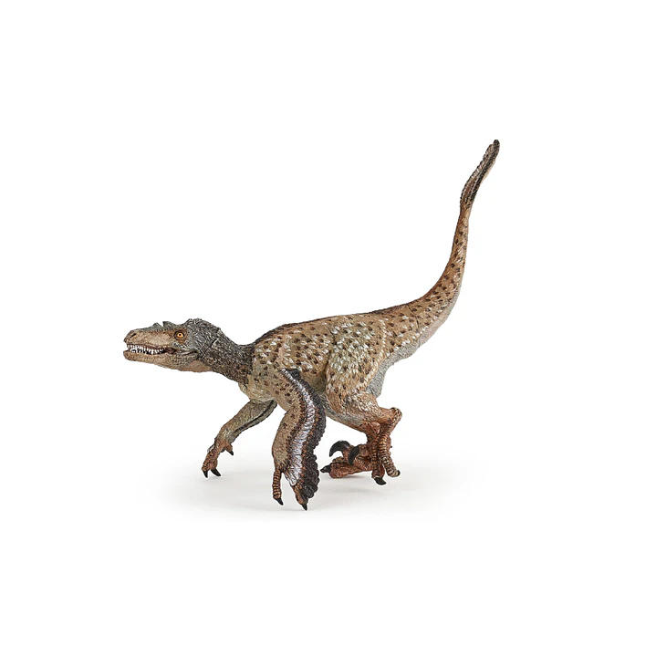 Animal Colección  Dinosaurio Velociraptor Con Plumas 1