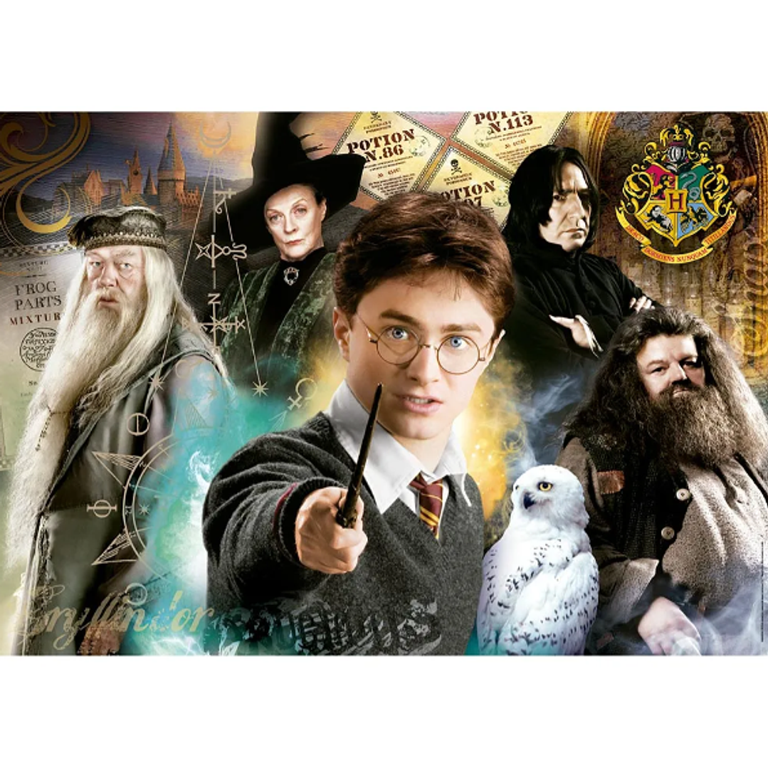 Rompecabezas Harry Potter  #2  500 Piezas 3