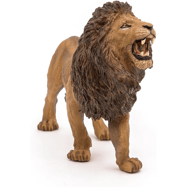 Animal Colección  No Nuevo León  Rugiendo 1