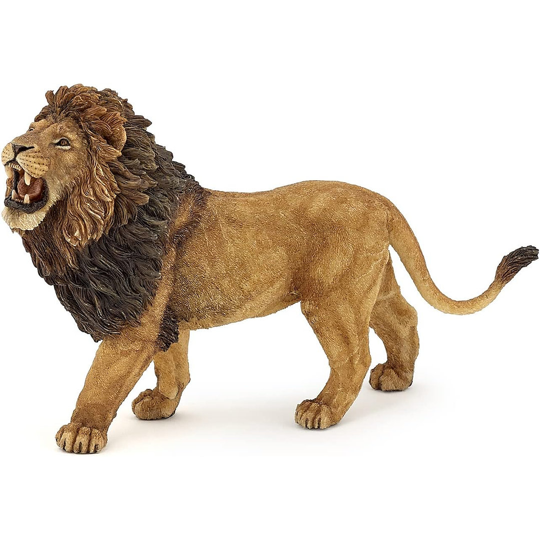 Animal Colección  No Nuevo León  Rugiendo 2