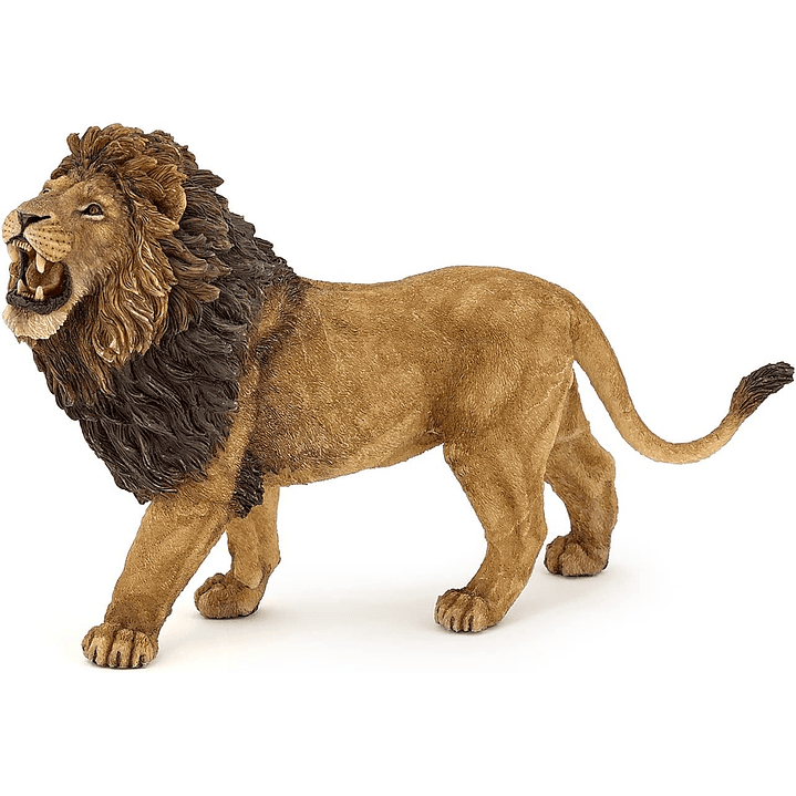 Animal Colección  No Nuevo León  Rugiendo 2