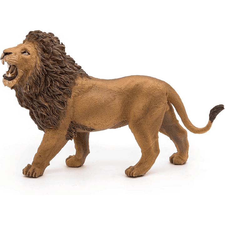 Animal Colección  No Nuevo León  Rugiendo 3