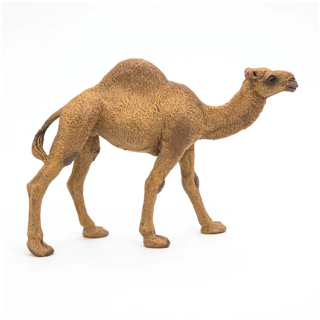 Animal Colección  Dromedario Camel 15Cm 1
