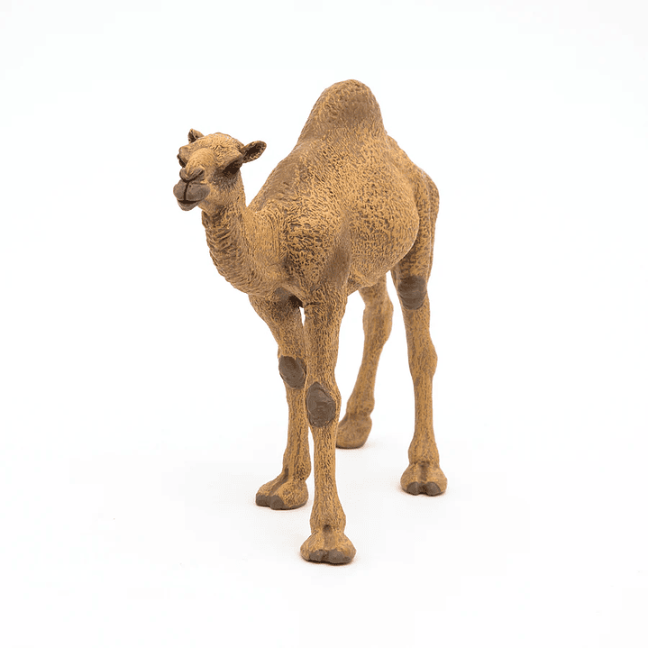 Animal Colección  Dromedario Camel 15Cm 2