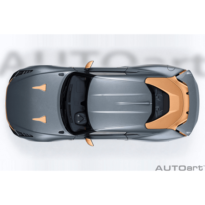 Carro Colección  Nissan Gt-R50 1/18 10