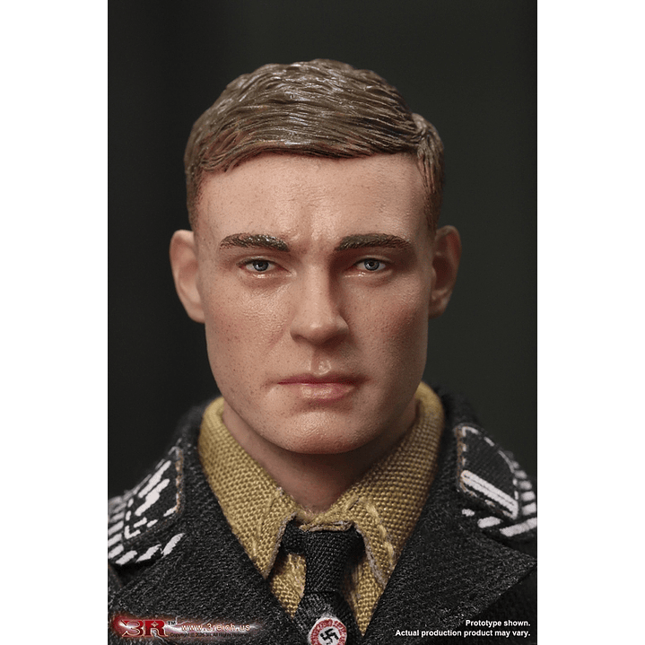 Figura Colección  Wwii German Ss Honor Guard 1/12 6