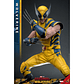 Figura Colección  Wolverine  Deluxe -Deadpool3 1/6 - Miniatura 6