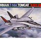 Para armar Grumman F-14A TOMCAT™ 