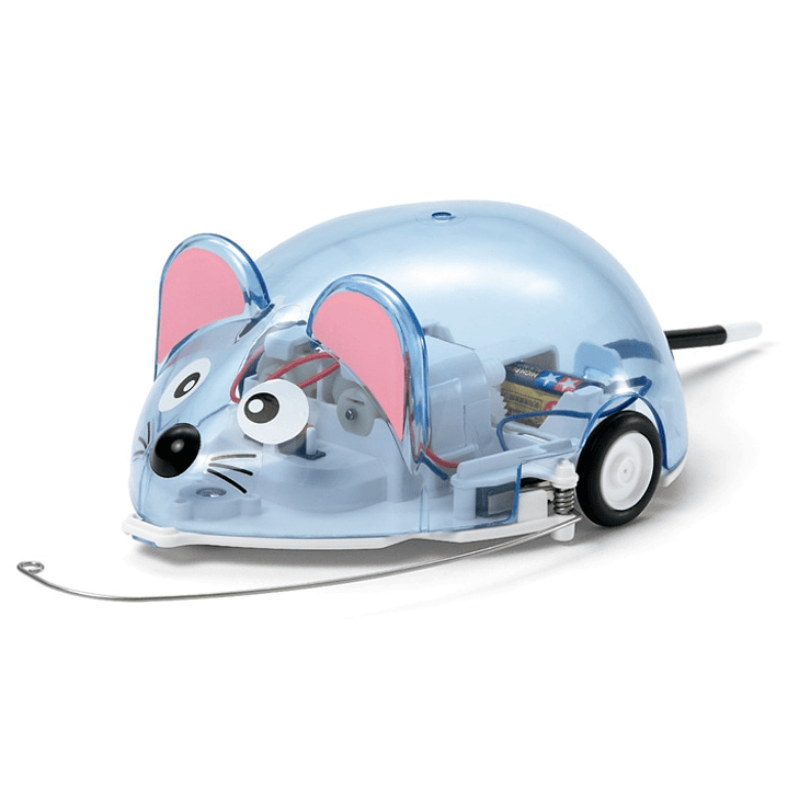 Robot Raton Trepa Muros 2