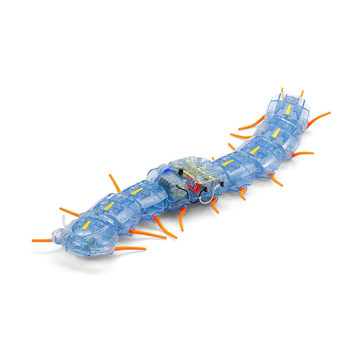 Robot Centipede Robot 2