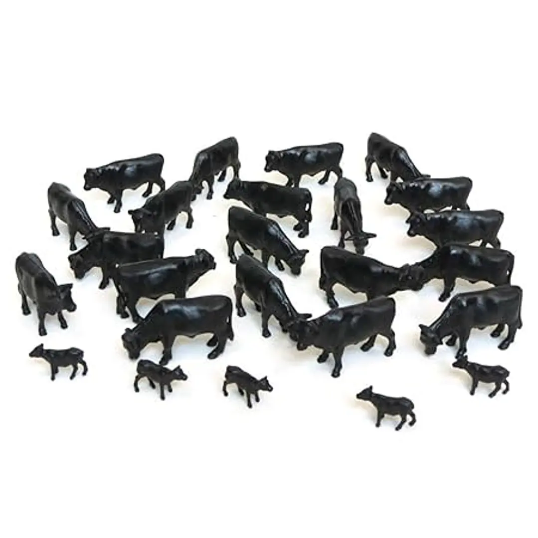    Vacas - Angus 1/64 1