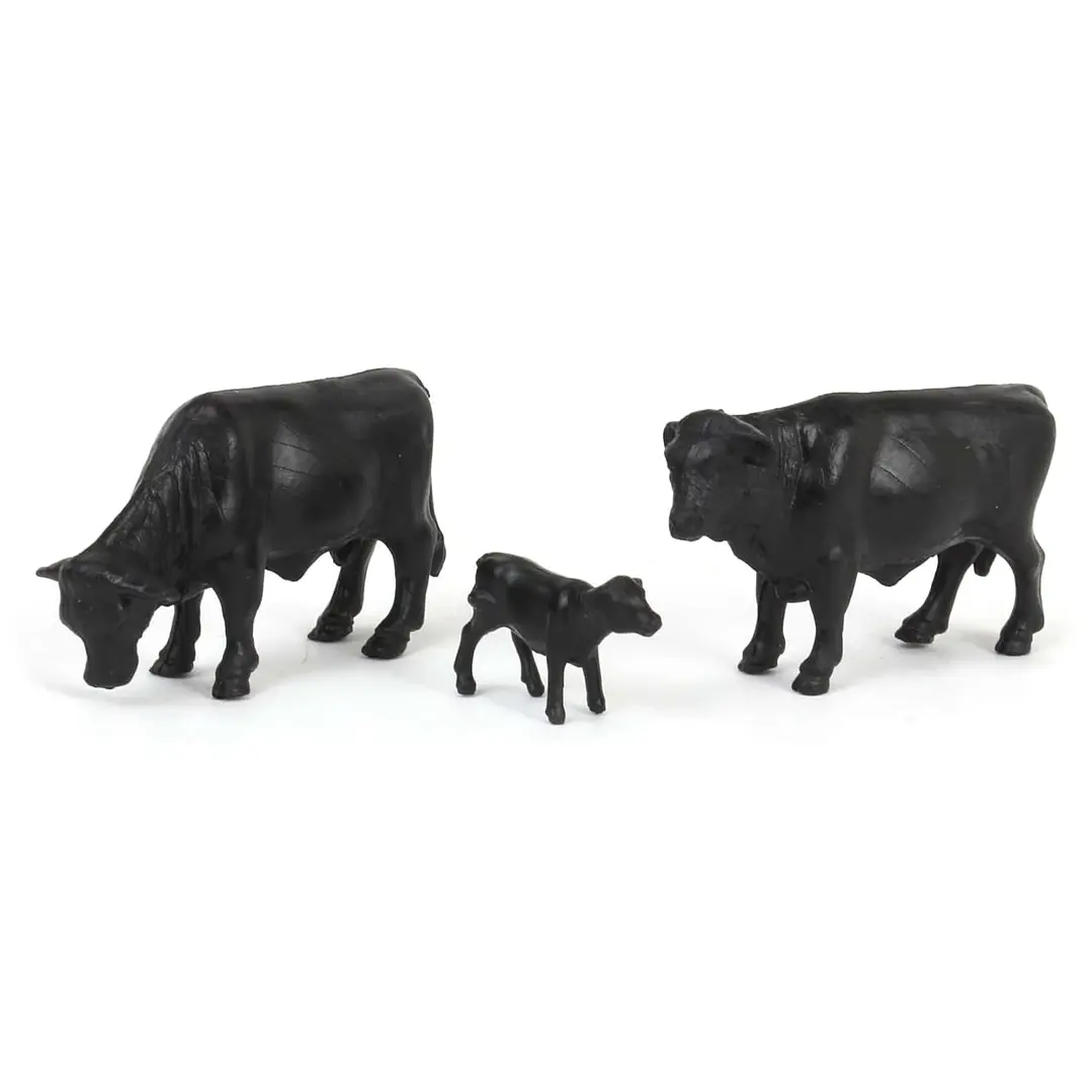    Vacas - Angus 1/64 2
