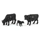    Vacas - Angus 1/64 - Miniatura 2