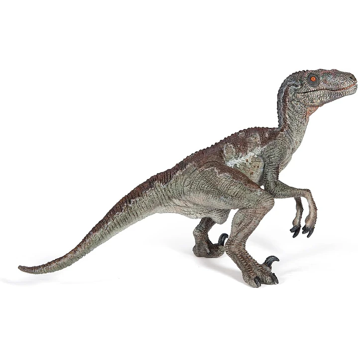 Animal Colección  Velocirraptor 1