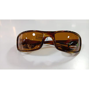  Cruz Tortoise Spectron 3