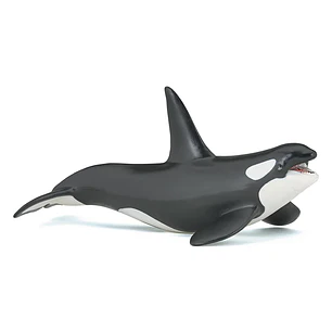Animal Colección  Ballena Orca