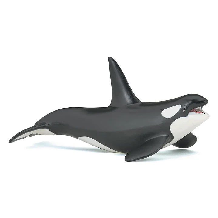 Animal Colección  Ballena Orca 1