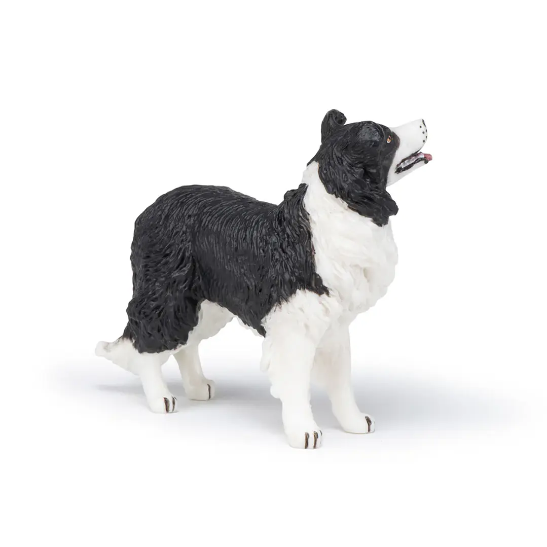 Animal Colección  Perro Boder Colie 2