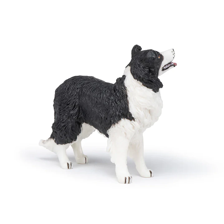 Animal Colección  Perro Boder Colie 2