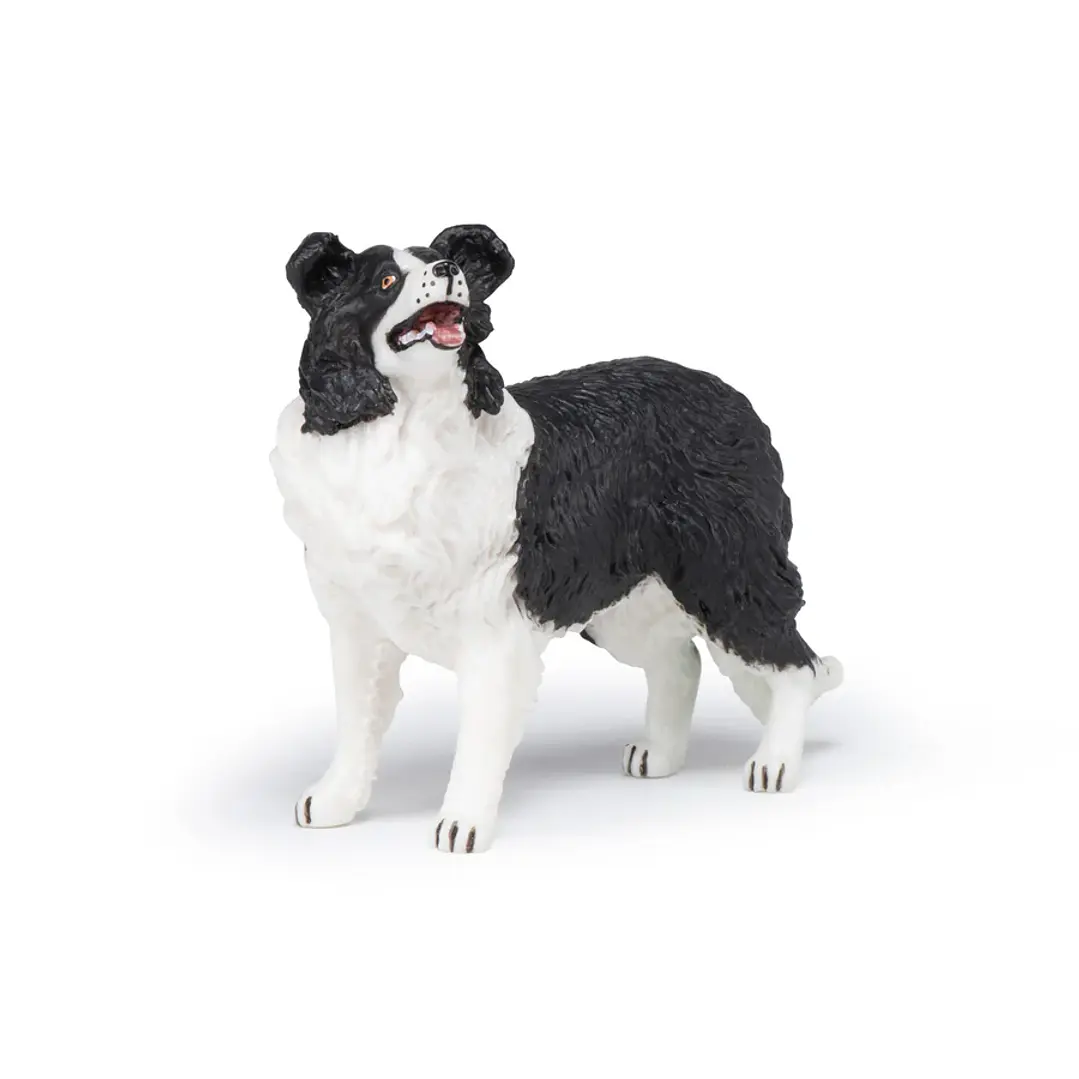 Animal Colección  Perro Boder Colie 1