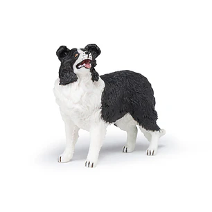 Animal Colección  Perro Boder Colie