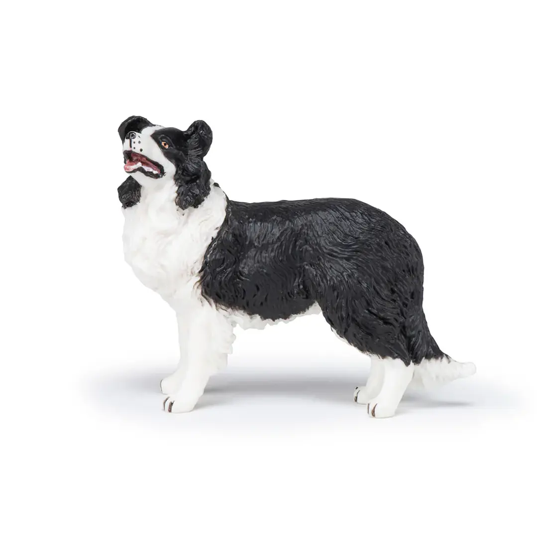 Animal Colección  Perro Boder Colie 3