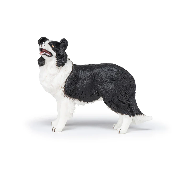 Animal Colección  Perro Boder Colie 3
