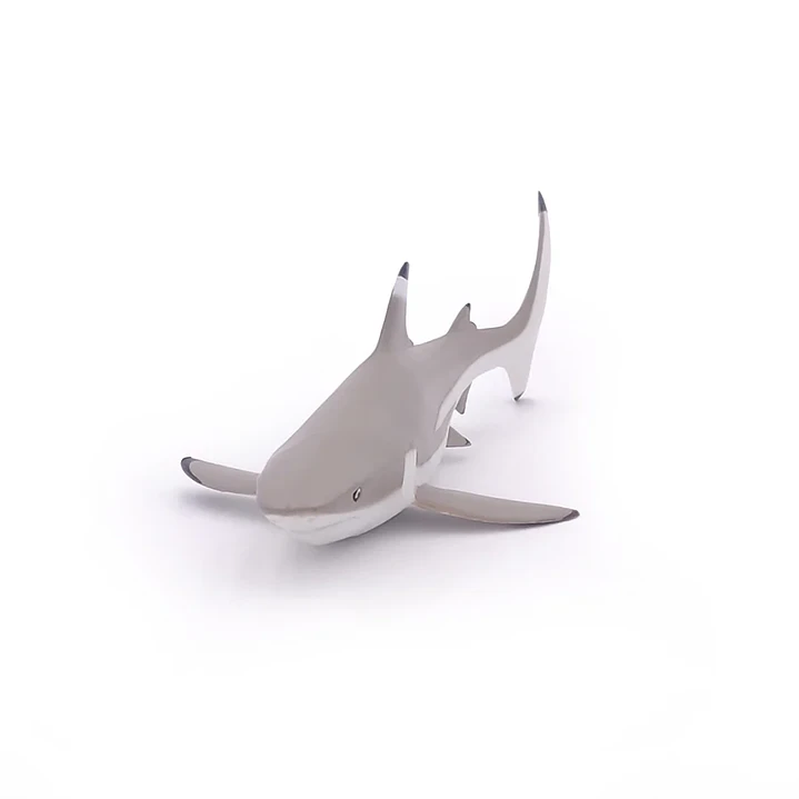 Animal Colección  Tiburon Punta Negra 1