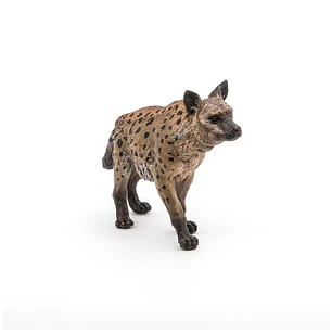 Animal Colección  Hiena