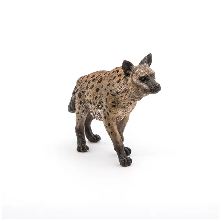 Animal Colección  Hiena 1