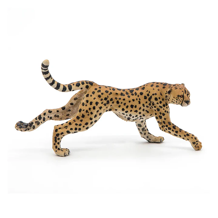 Animal Colección  Guepardo Running Wild Animal Kingdo 4