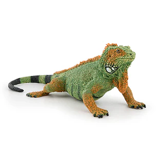 Animal Colección  Iguana