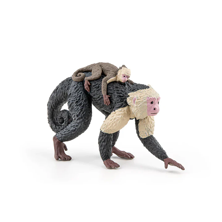 Animal Colección  Mono Capuchino 3