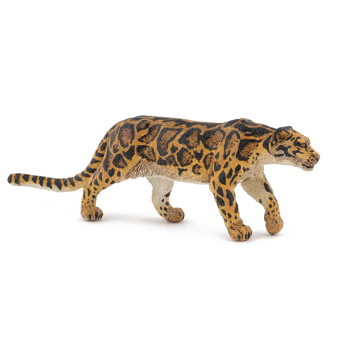 Animal Colección  Pantera Nebulosa 1