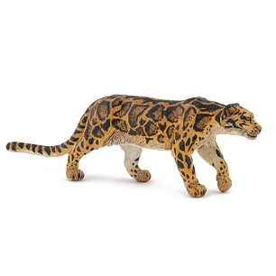 Animal Colección  Pantera Nebulosa