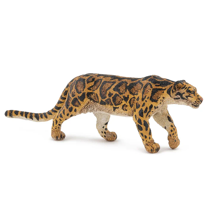 Animal Colección  Pantera Nebulosa 1