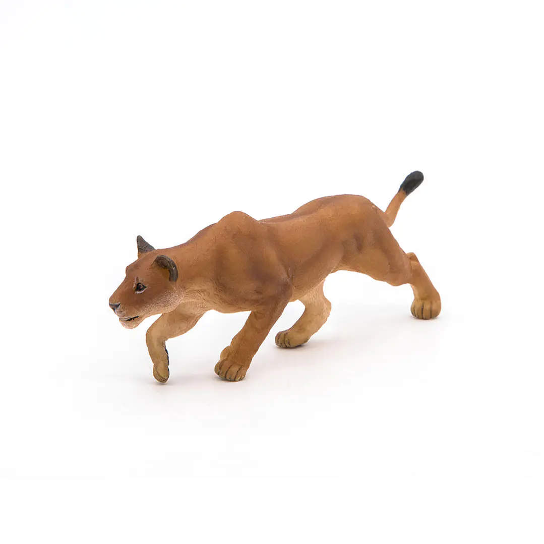 Animal Colección  Leona Cazando 1