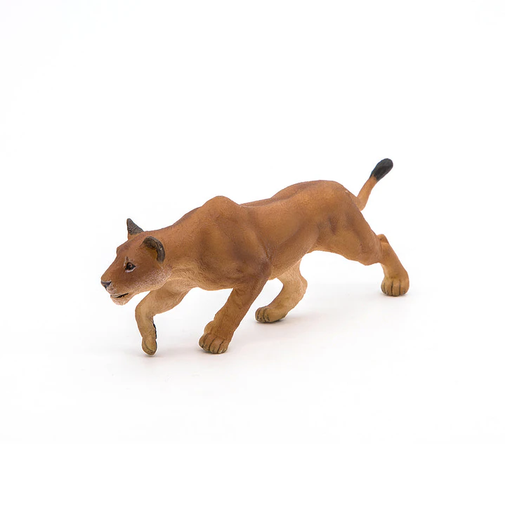 Animal Colección  Leona Cazando 1