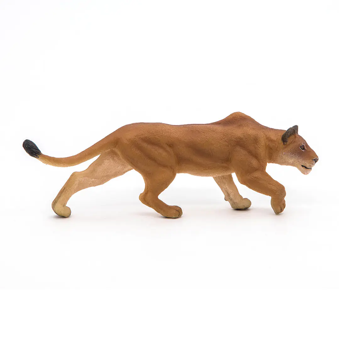 Animal Colección  Leona Cazando 4