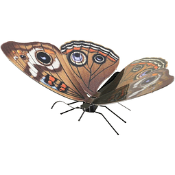 Buckeye Butterfly Metal Earth Model