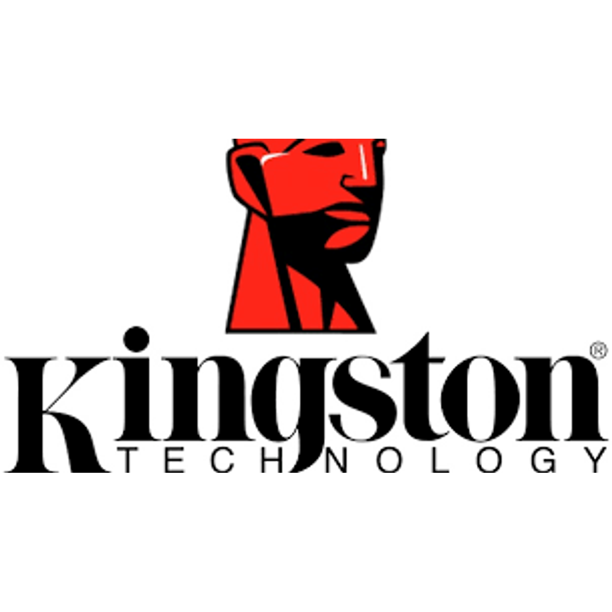 Kingstone. Kingston technology ssd накопитель. Kingston эмблема. Kingston логотип. Kingstone.