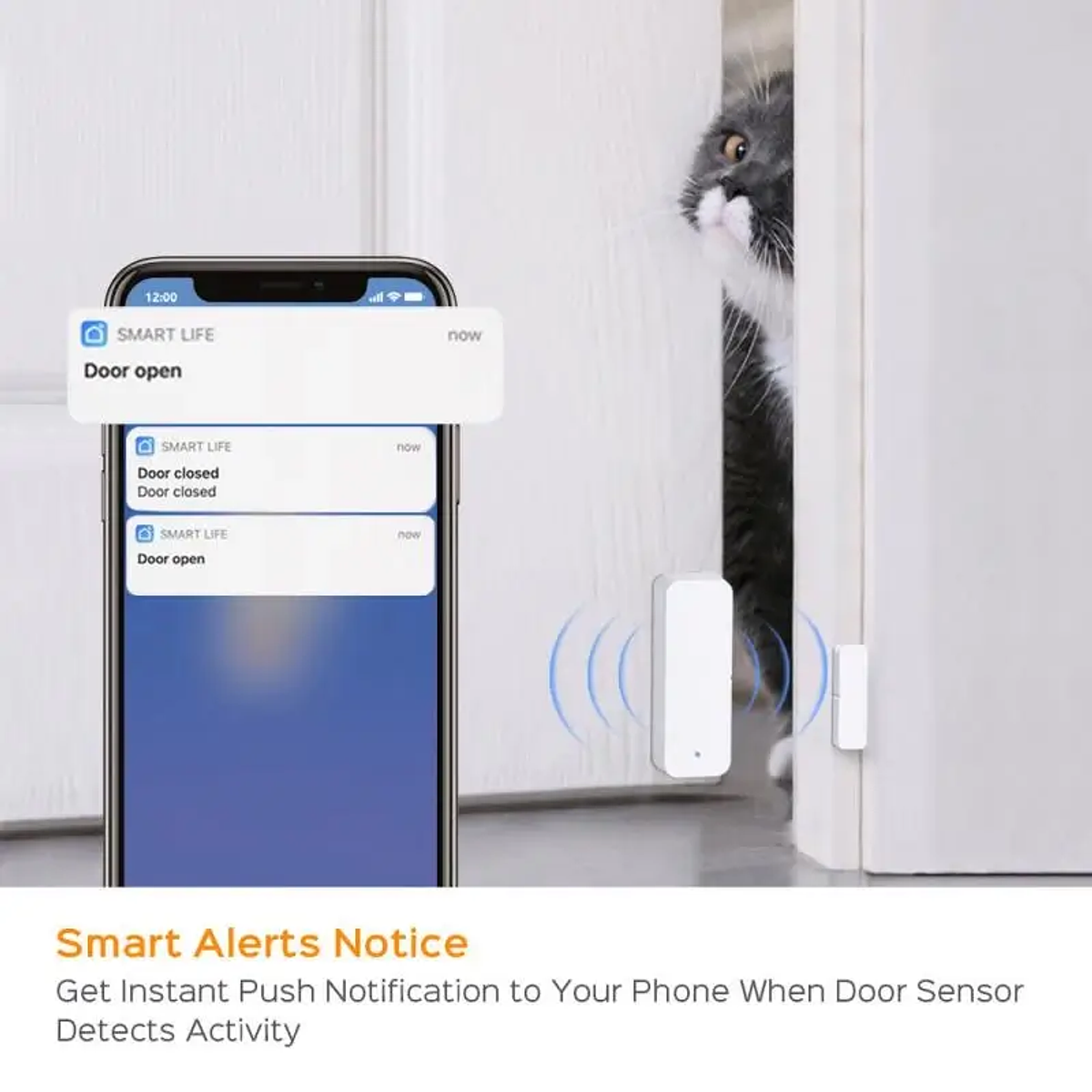 🚨 Sensor de puerta #smartlife #tuya Fácil configuración / easy door sensor  setup 
