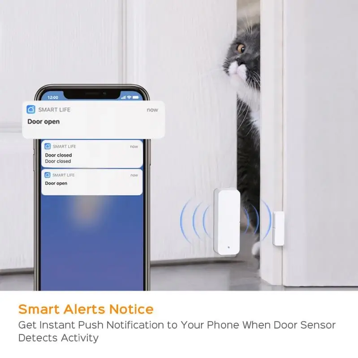 WiFi - Sensor de Apertura de Puertas Y Ventanas - Tuya Smart Life 3